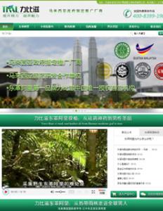 東革阿里營(yíng)銷型網(wǎng)站案例